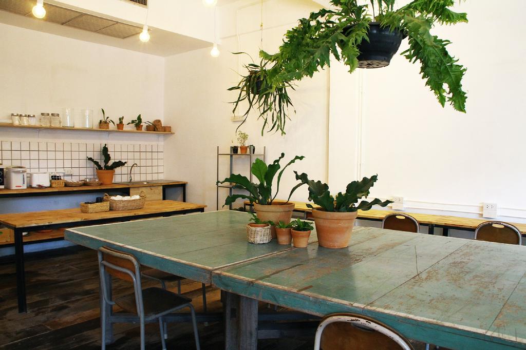 The Green Sleep Hostel