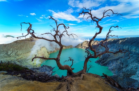 Rondreis INDONESIË: BALI & JAVA – 15 dagen - Koraalriffen en vulkanen