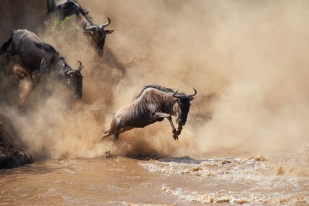 Rondreis KENIA & TANZANIA – Internationale Groepsreis – 14 dagen - Hoogtepunten van Oost-Afrika