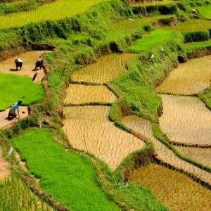 Rondreis Bali, Gili & Lombok, 18 dagen - Geniet van de stranden, natuur & de vriendelijke bevolking