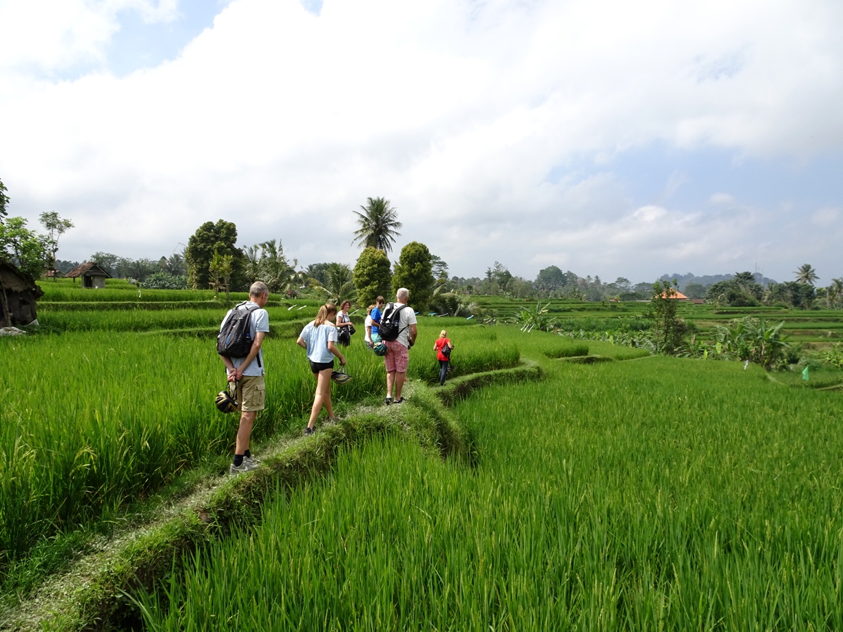 Java & Bali, 22 dagen - 