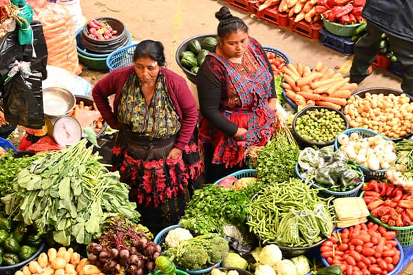 Rondreis Guatemala & Belize, 19 dagen - 