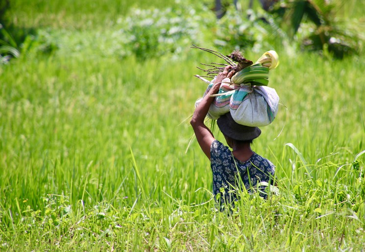 Rondreis Indonesië 13 dagen - Bali's bergen en kusten