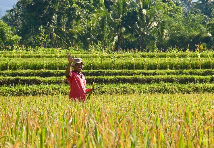Rondreis Indonesië 15 dagen - Rondje Lombok