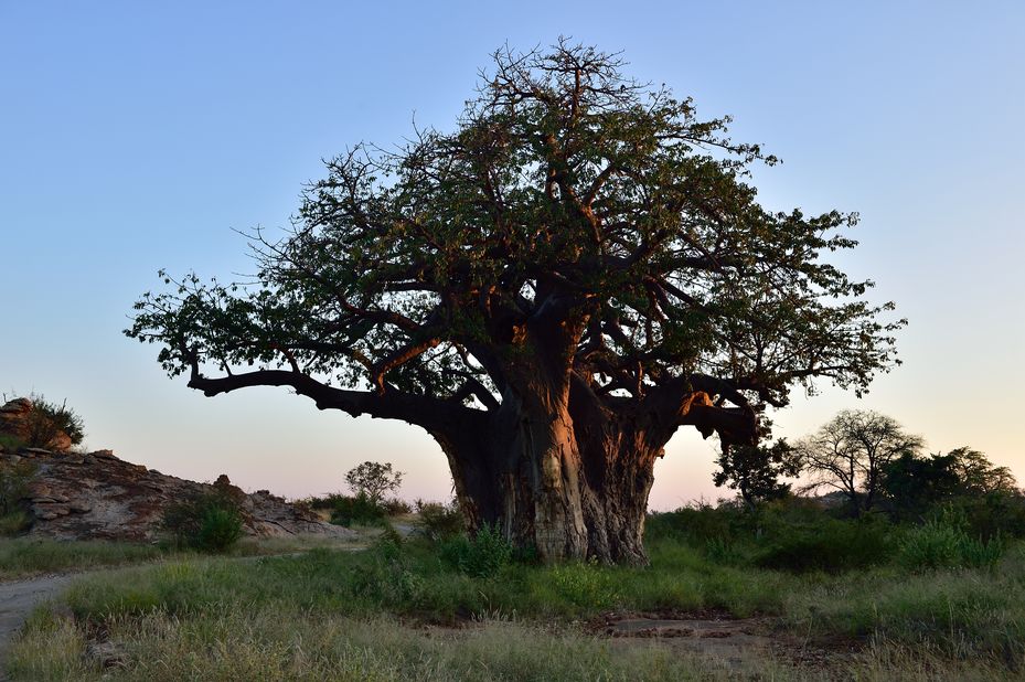 Rondreis ongerept Noord-Zuid-Afrika 15 dagen - 