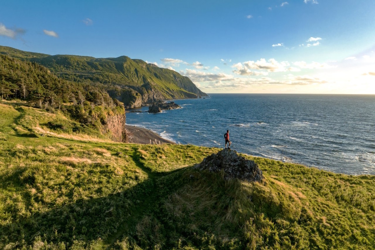 Newfoundland Whales and Icebergs 20 dagen - Canada, Canada Oost