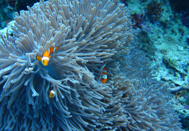 Rondreis Indonesië 16 dagen - Compleet Bali