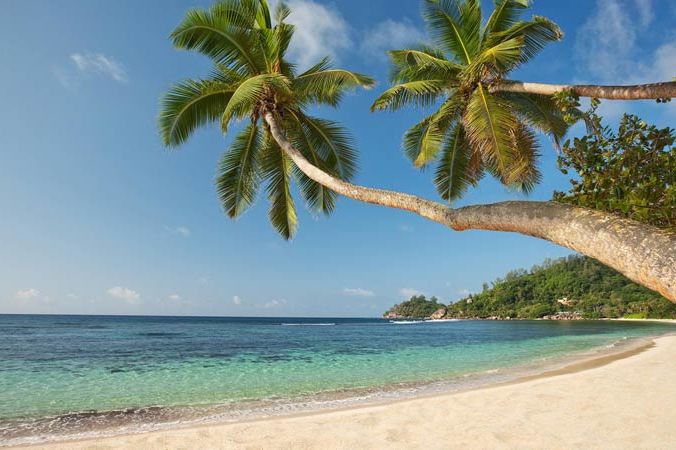 Zuid-Afrika malariavrije safari & Seychellen 14 dagen - 