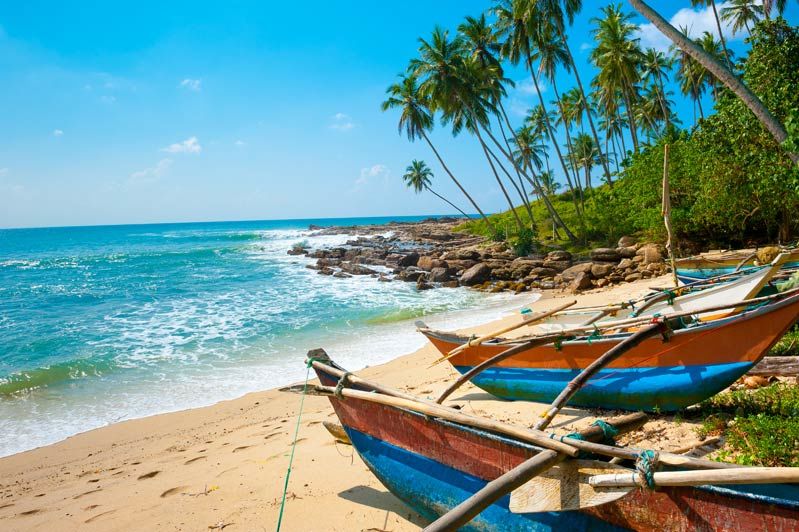 Hoogtepunten Sri Lanka (winter) 15 dagen - 