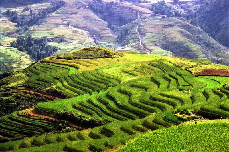 Authentiek Noord-Vietnam 14 dagen - 