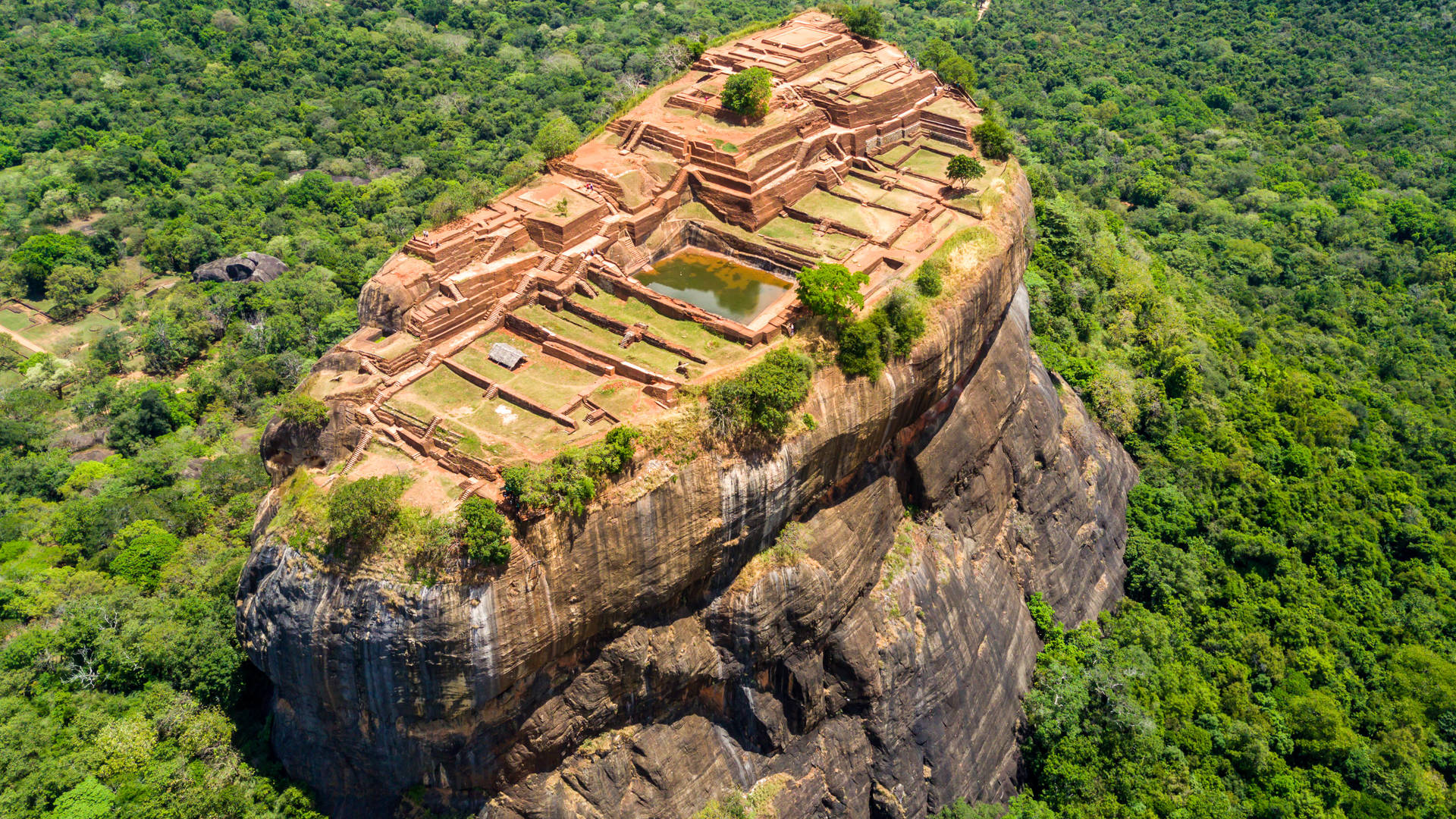 Safari, theeplantages en grottempels in Sri Lanka - Sri Lanka - 18 dagen