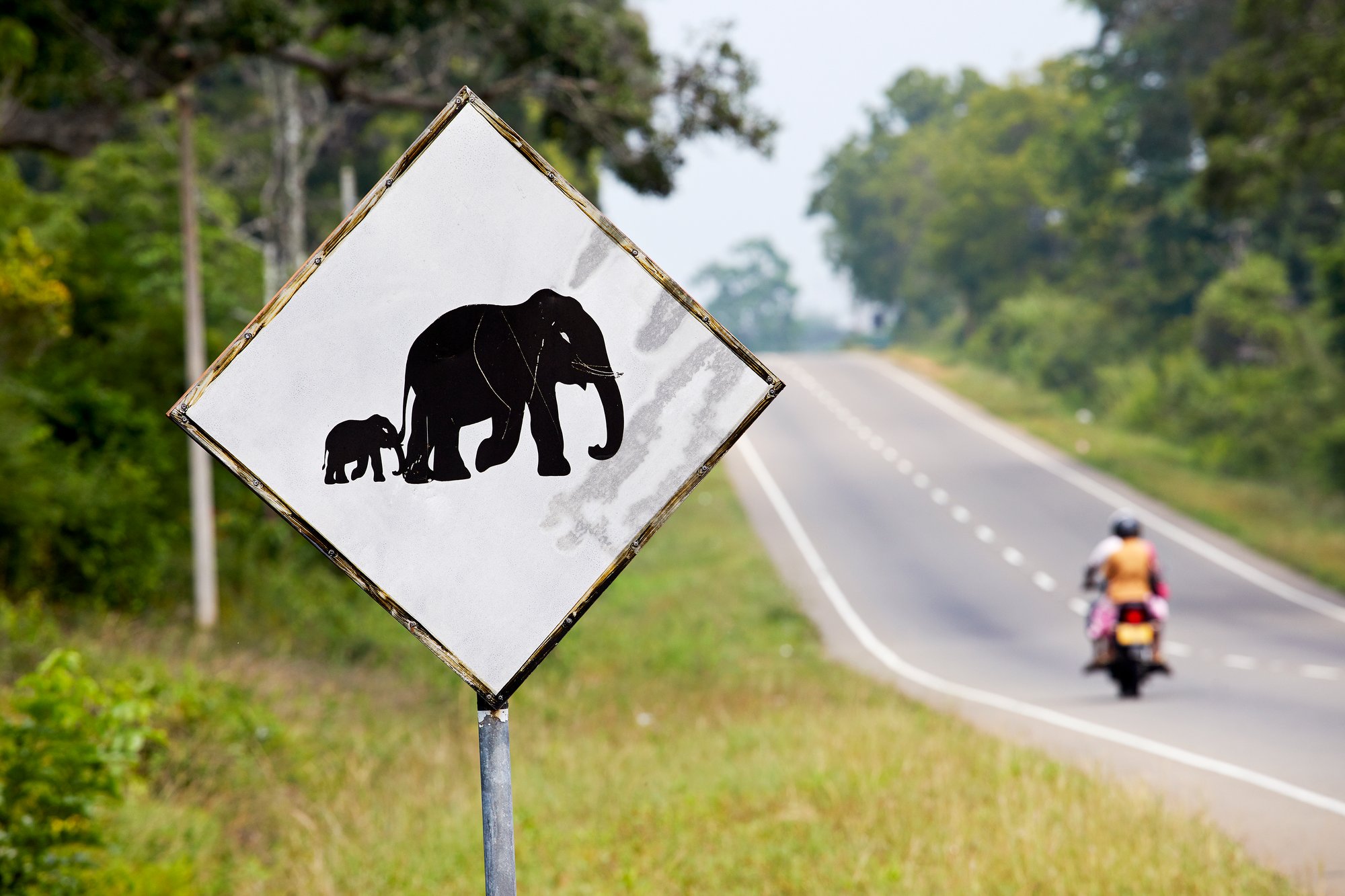 20-daagse privérondreis Natuurlijk Sri Lanka met gids/chauffeur - 