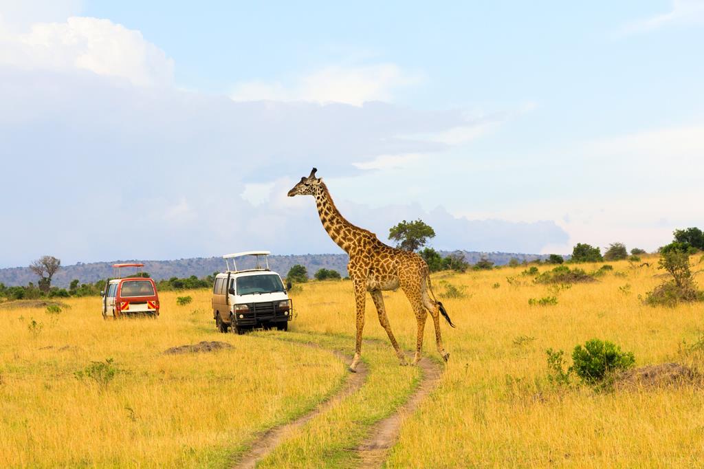 16 daagse safari The Mombasa Rendez Vous - Kenia