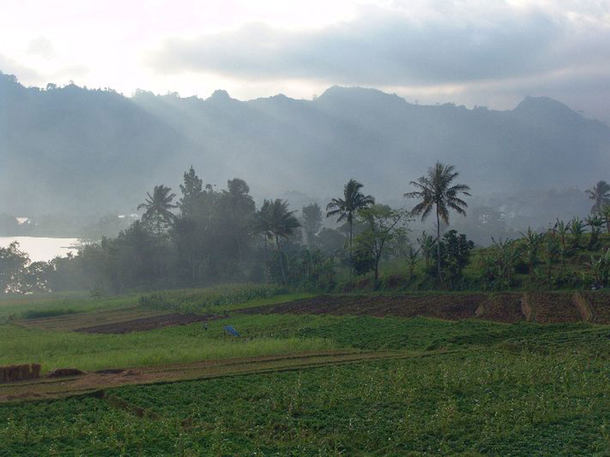 Groepsrondreis Java, Bali en Lombok - Langs vulkanen en rijstvelden