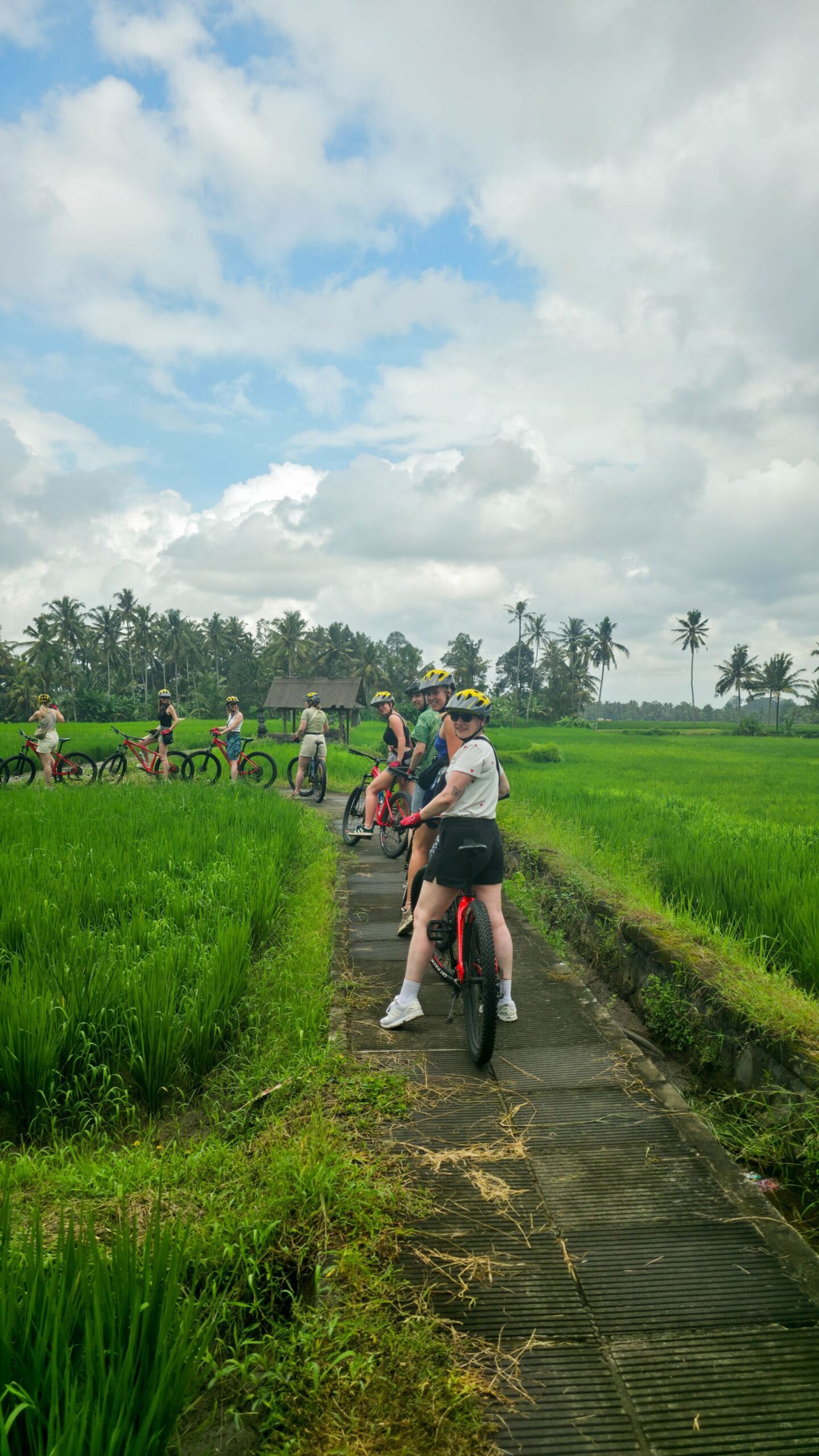22-35ers reis Indonesië: Bali en Lombok - Dansen op een vulkaan