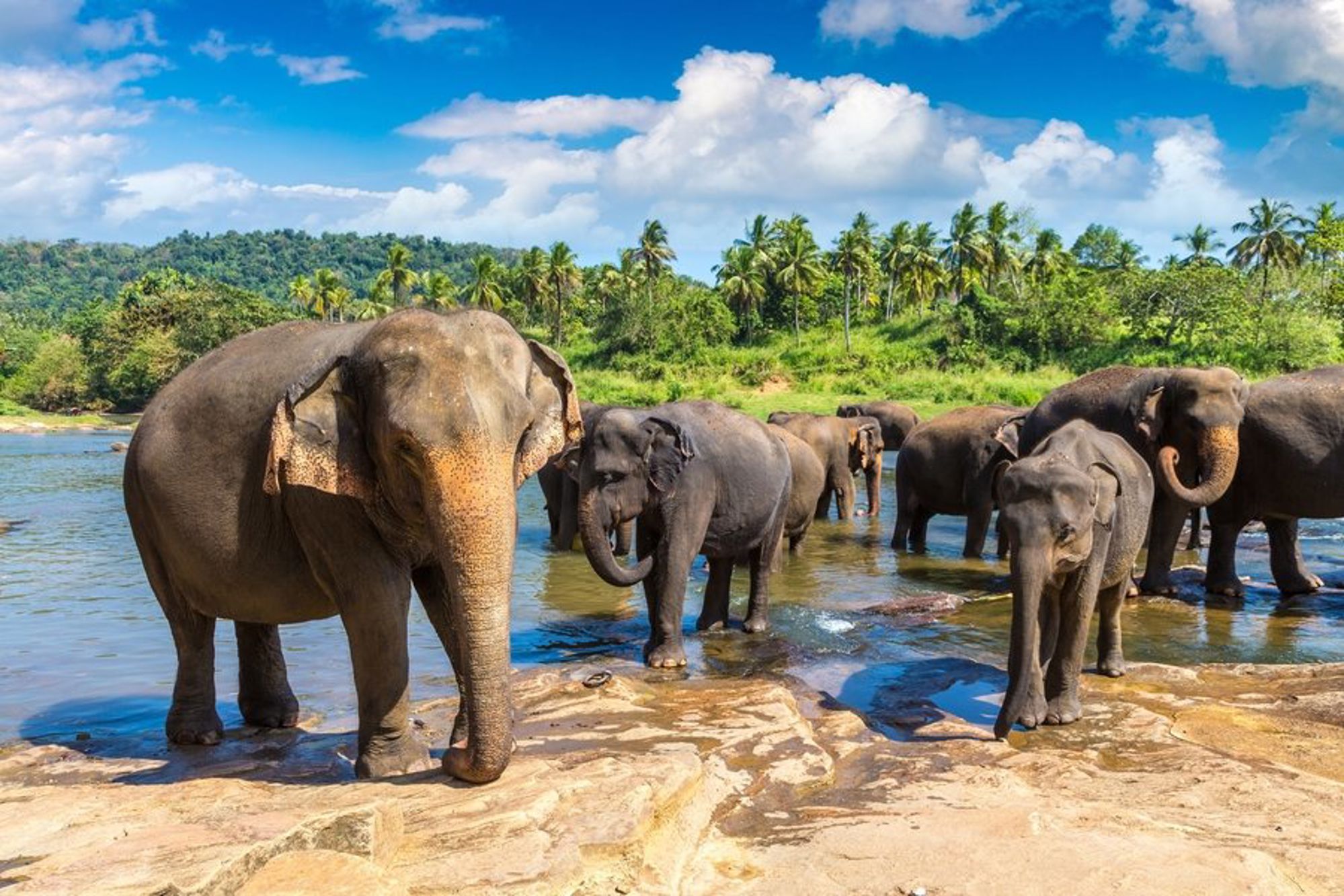 Groepsrondreis Sri Lanka en Malediven - Culturele schatten en paradijselijke stranden