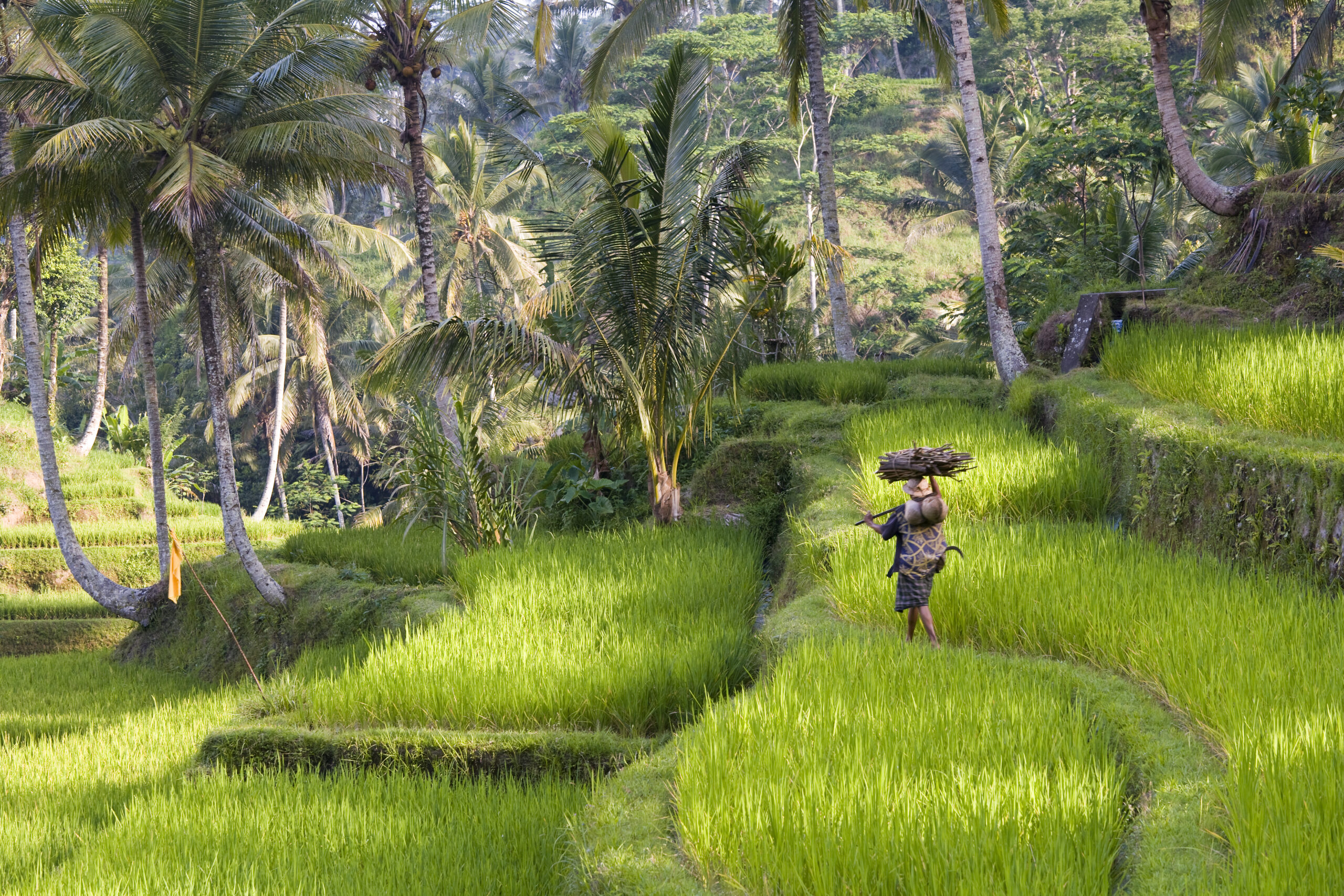 Familie groepsreis Bali - Indonesië