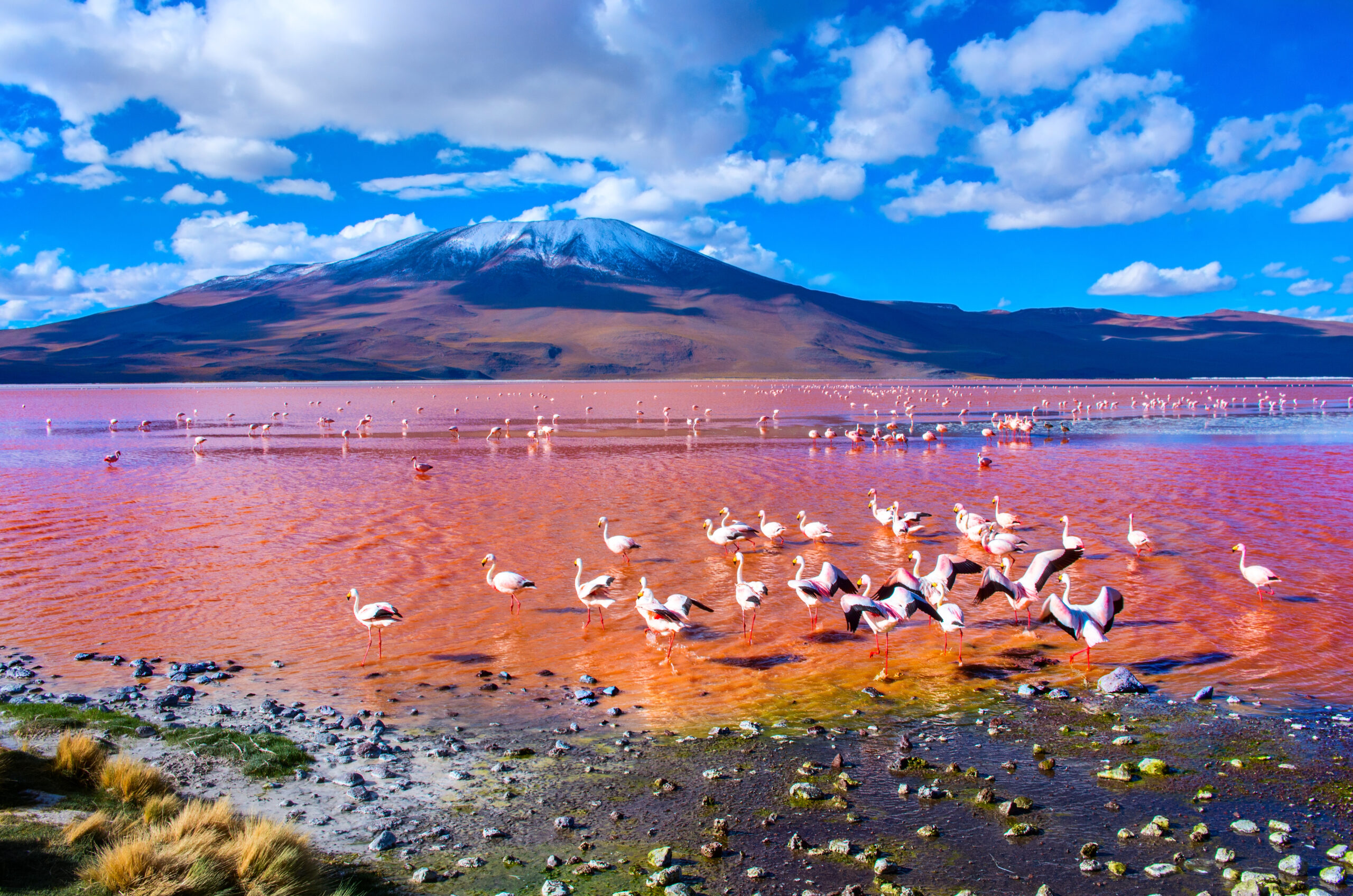 Groepsreis Peru, Noord-Chili & Bolivia – Mystieke Andeshoogvlaktes - Bolivia, Chili en Peru