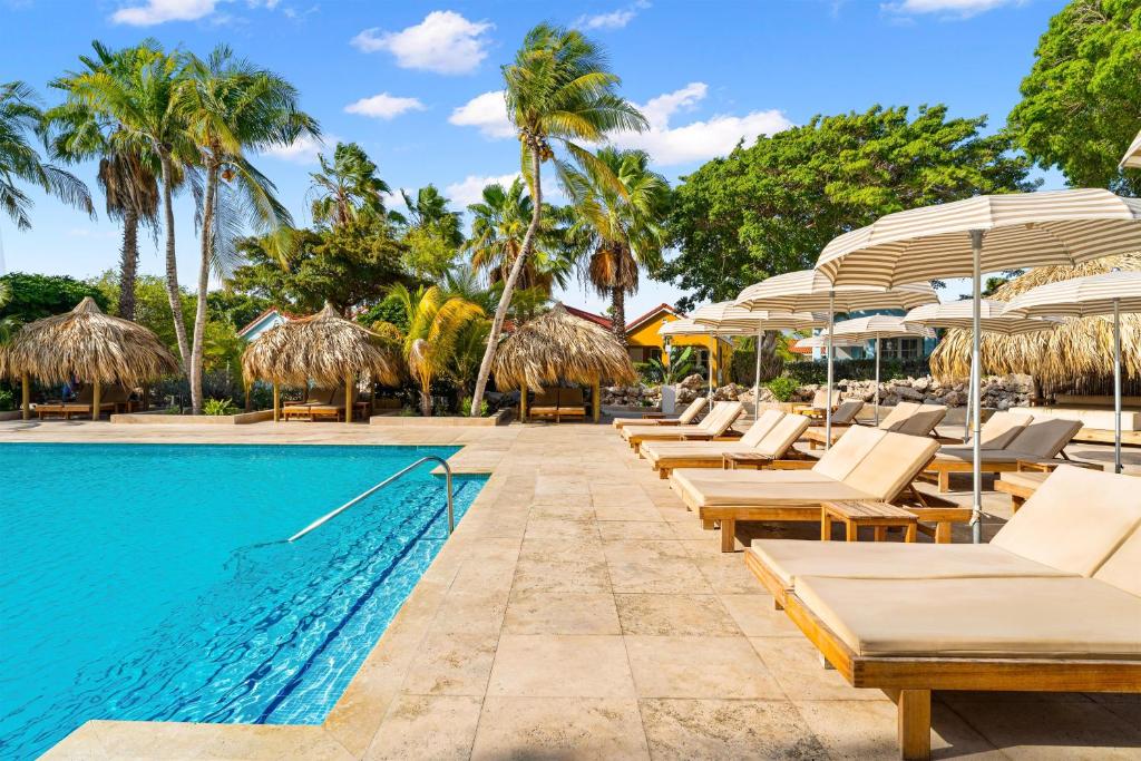 Hotels Curaçao Sonesta Hotels & Resorts Livingstone Curacao